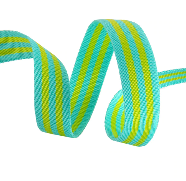 Tula Pink's Webbing - RTS