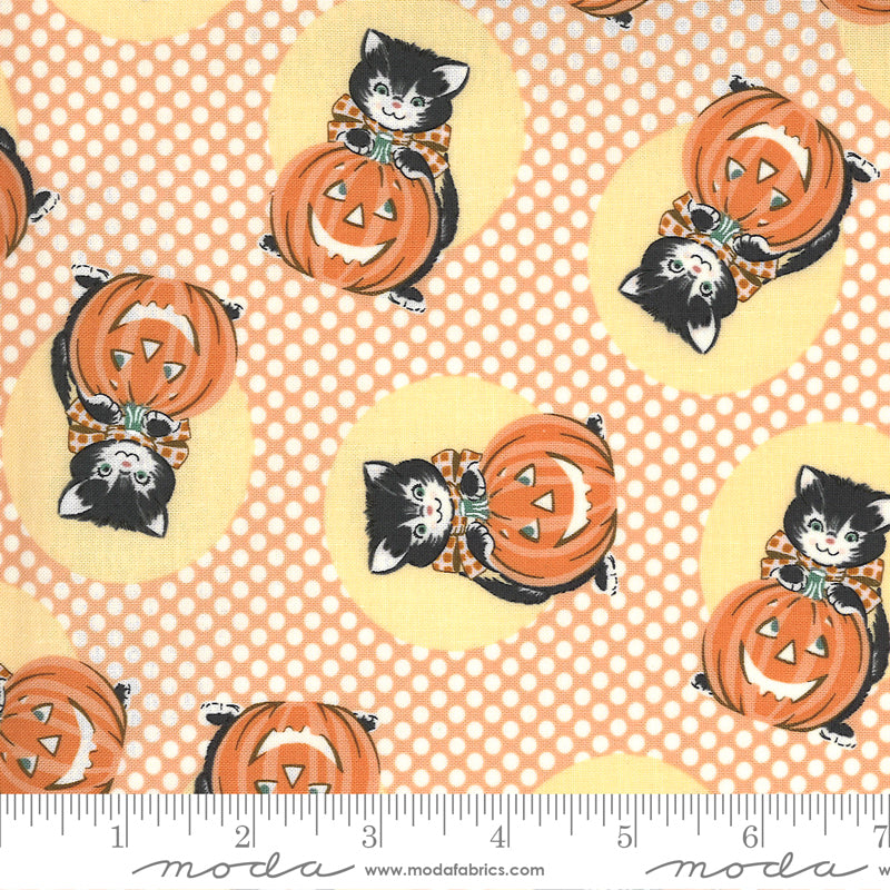 Kitty Corn - 31171 13