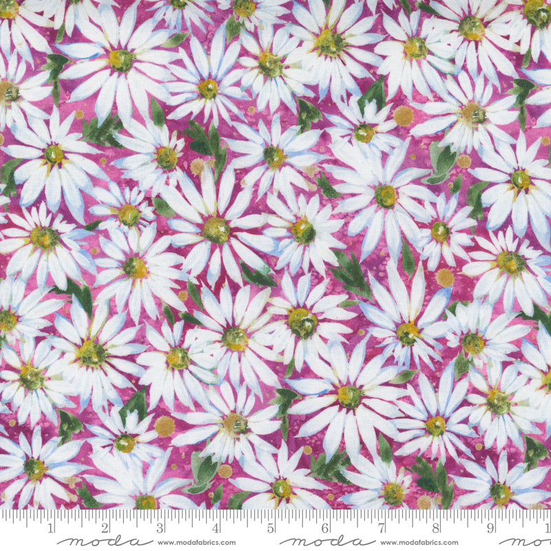 Fresh As a Daisy, 8496 11 Magenta - RETAIL