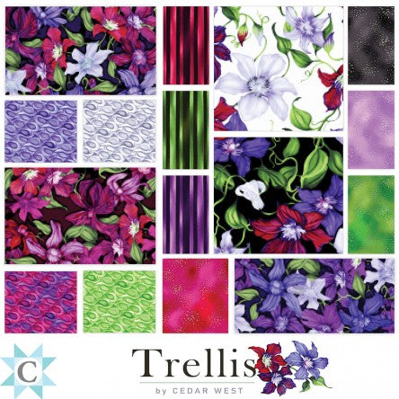 Trellis