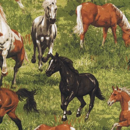 Run Free - Horses in Grass