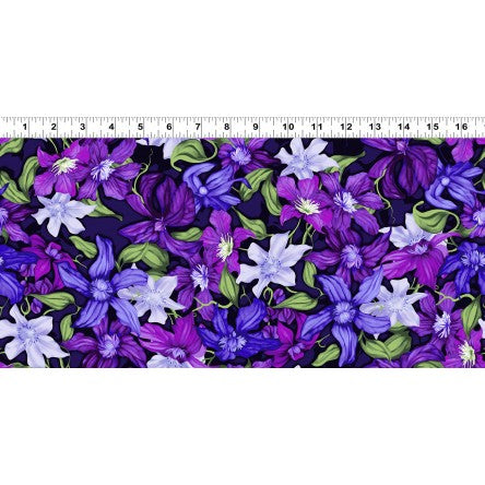 Trellis Packed Clematis - Purple